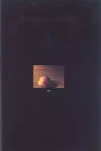 [CARNELIAN] Kao no Nai Tsuki Visual Fanbook (Kao no Nai Tsuki / Moonlight Lady)