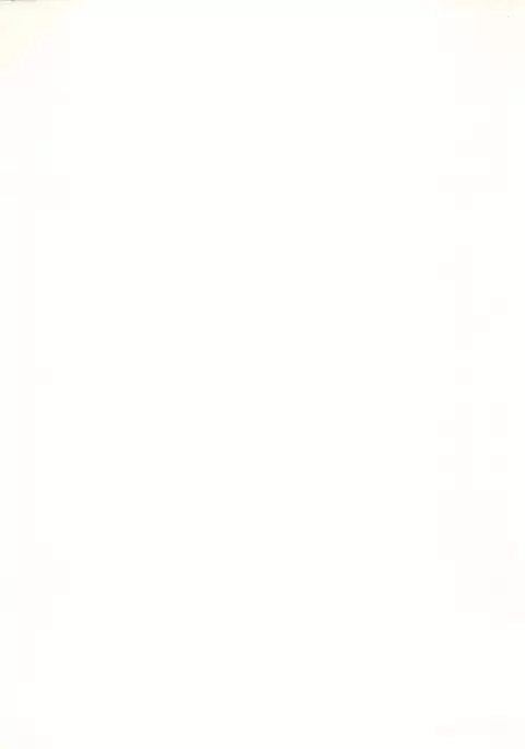 TT2 Terrible x Trouble 2nd