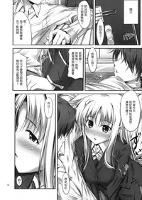 (C88) [IV VA SHIN (Mikuni Mizuki)] Home Sweet Home ~Soushuuhen~ (Mahou Shoujo Lyrical Nanoha) [Chinese] [Drz漢化]