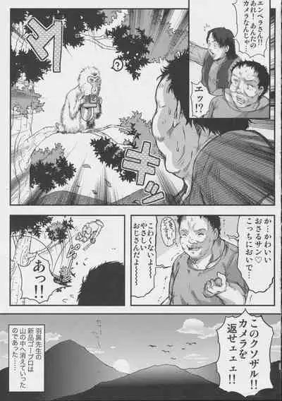 Shiori Gaiden Soushuuhen