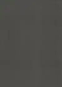 (FF30) [MaluBall] Shikikan!! Watashi ga Ireba Juubun desuyo (Girl's Frontline) [Japanese] [奥古斯都编修会]