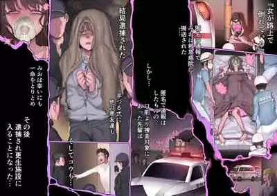 [pinkjoe] Daraku : Hametsu no Yuuwaku [Digital]