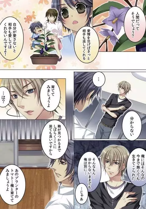 Celeb, Kai Hajimemashita ~Tomato Kareshi no Tsukurikata~