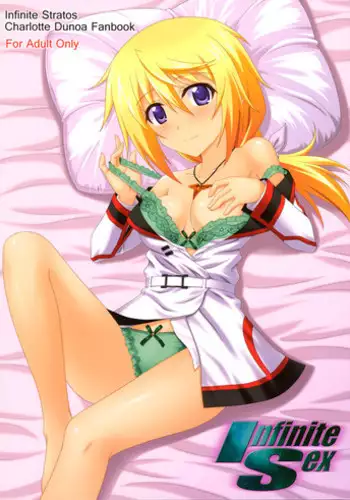 (COMIC1☆5) [CROSS-DO (Masakichi)] Infinite Sex (Infinite Stratos)