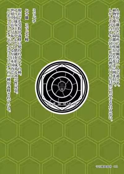 kazami yuka ha hati ni otiru