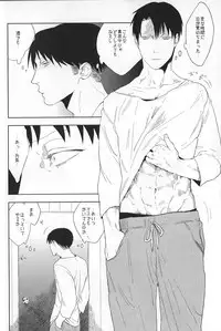 (SPARK8) [MORBID+LOVERS, chop! (Shou, Chokota)] Iwayuru Isshu no Bakageta Oasobi (Shingeki no Kyojin)