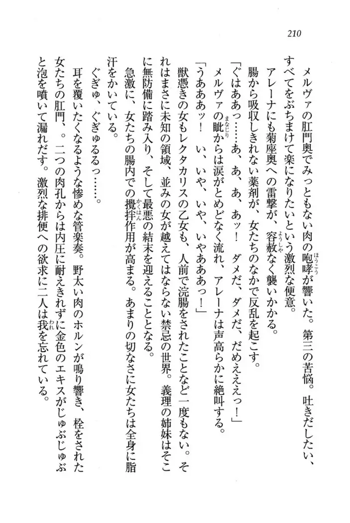 Circus~聖杯の魔法使い