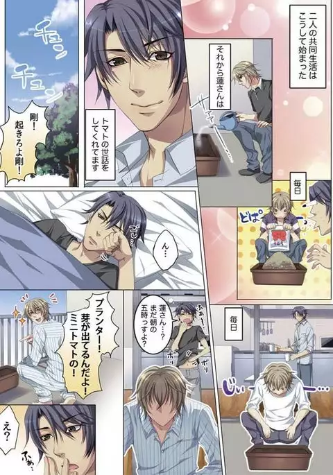 Celeb, Kai Hajimemashita ~Tomato Kareshi no Tsukurikata~