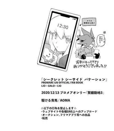 シークレット シーサイド バケーション