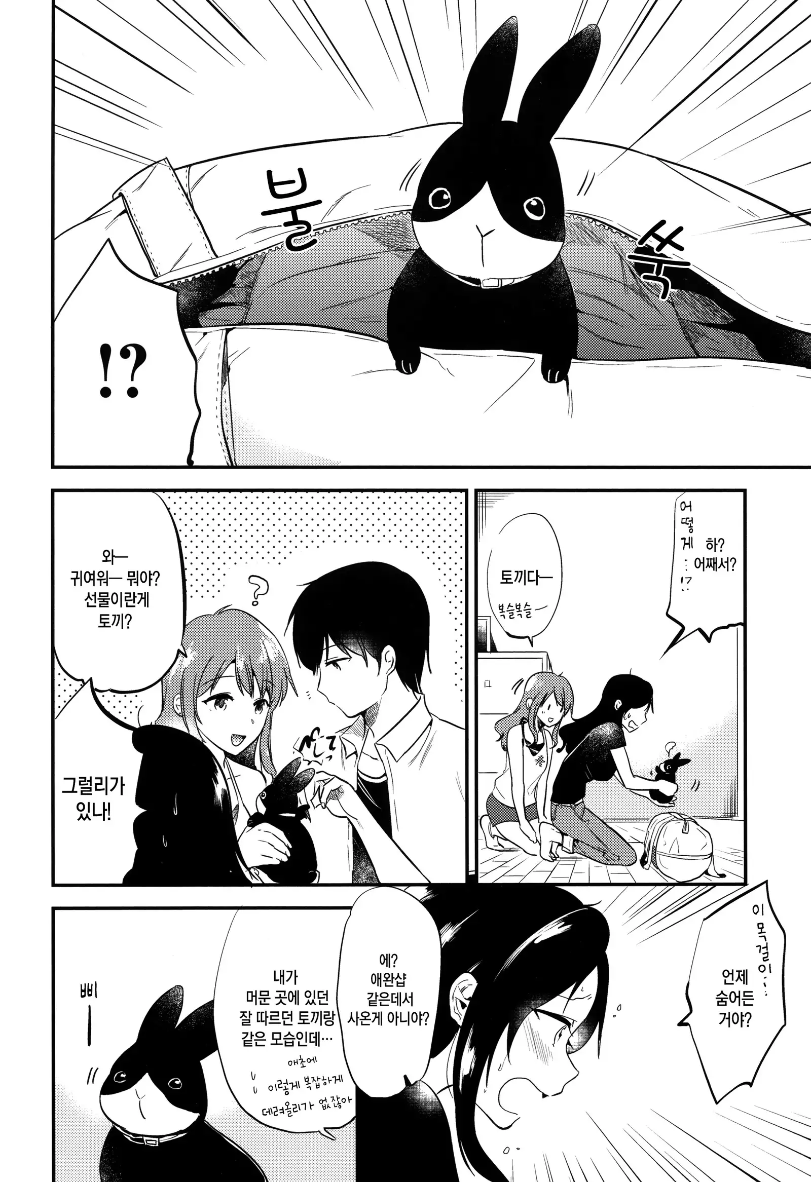 Rabbit Paradise | 래빗 파라다이스