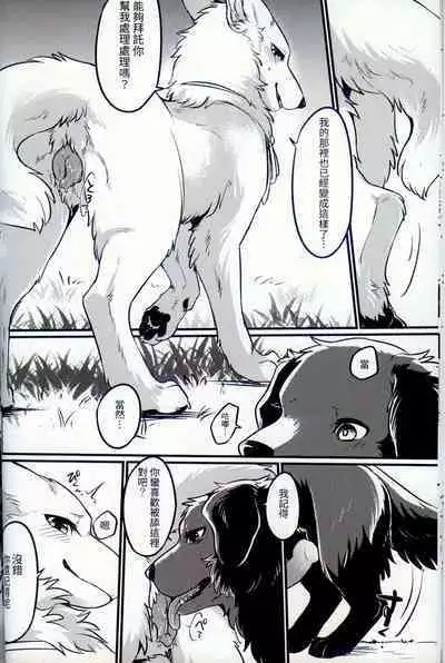 Hakoniwa Jealousy | 箱庭之妒