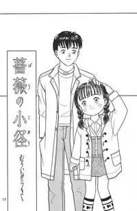 (C47) [Shinba Oolong Cha (various)] Shou Gaku Sei 3 Ruri Shoku