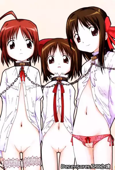 Koigataki Tettei Haijo Shugi