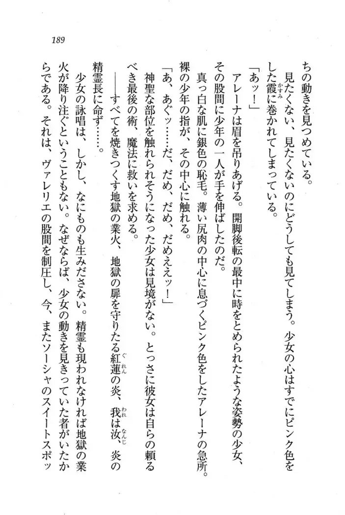 Circus~聖杯の魔法使い