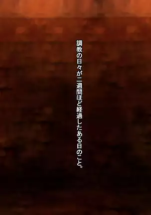 Hokaku sareta Shoujo ~ She becomes a sex slave due to reincarnation in another world ~