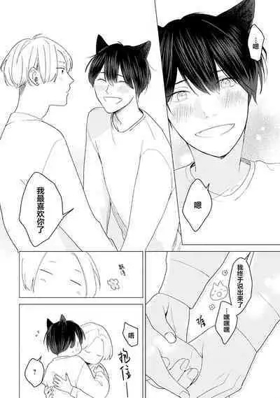 恋爱中的猫咪想被抚摸