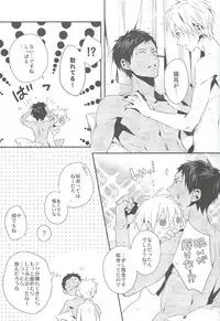 (SPARK8) [inumog (Fujino, Marumo)] Kimi to Nekomimi (Kuroko no Basuke)