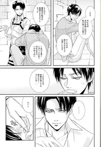 (C89) [chocolate logic (Kotoko)] If it should be the way (Shingeki no Kyojin)