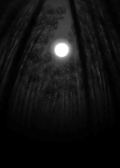 [Yashiya (YASSY)] Chikurin no Kanojo (Touhou Project) [Chinese] [沒有漢化] [Digital]