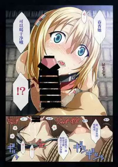 (C91) [Makino Jimusho (Taki Minashika)] SISTERS ~Kakusareta Kioku~ 2012-2015 (SISTERS -Natsu no Saigo no Hi-) [Chinese] [不咕鸟汉化组]