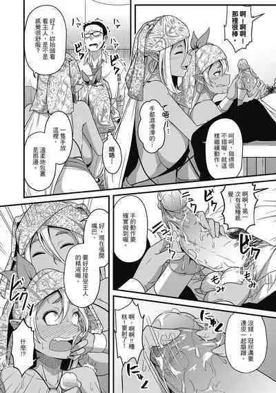 [Akishiro Akino] Pakohame Party | 與人連結的啪啪派對 [Chinese] [Digital]