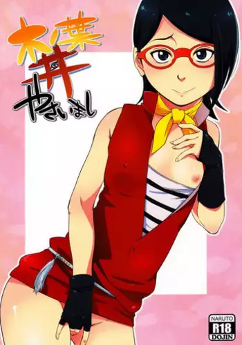 Minarai Youhei Sara | 견습용병