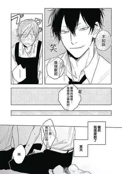 Like a Sugar | 爱似甜点 Ch. 1-5