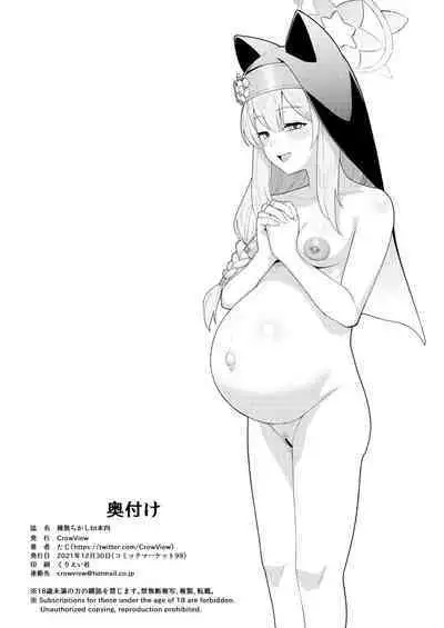 Tane Chirakashi bt Hon Yon | 播种BT本四