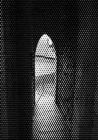 I Have Fucked Loki Familia For Bell But I Think I'm Not Wrong