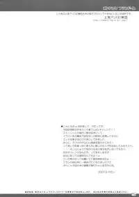 (Sore Muri) [Reverse Noise (Yamu)] Otona Muke Flandre (Touhou Project)