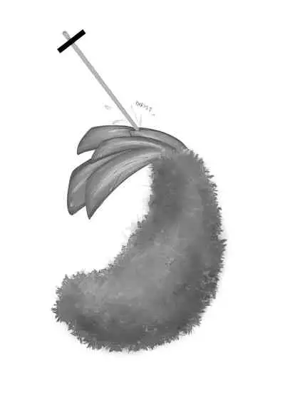 Ebi Fry Sou Uke Anthology | The Anthology of Fried Shrimp Really Getting Around