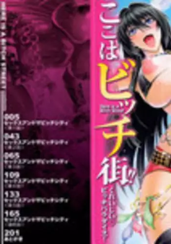 [Aoyama Akira] Koko wa Bitch gai !! - Here is a Bitch Street Ch. 1-2 [English] [desudesu + SaHa]