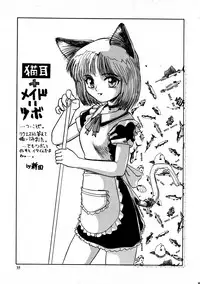 [ネコミミ団(.30-06)] CAZA MAYOR 2