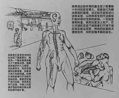[little] 女侠 5