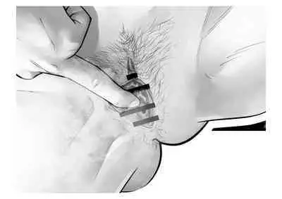 Kousai Bare, Koubu Zaseki de Netorare Choukyou