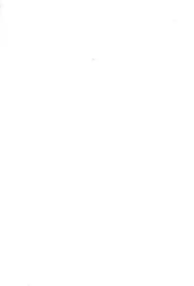 (CR17) [PINK no CHAO! (Shikage Nagi)] Sugar Cube Doll (Various)