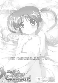 (C79) [TIMTIM MACHINE (Kazuma G-Version)] TIMTIM MACHINE Nanoha Concept! + Paper (Mahou Shoujo Lyrical Nanoha)