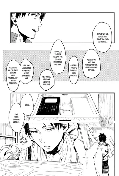 (SUPERKansai20) [Bodatto (Kirishima)] Heichou no Hikidashi | Captain's Drawer (Shingeki no Kyojin) [English] [Wings of K&C]