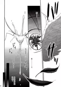 (C90) [Consava (Himeno Komomo)] Sore wa Zankoku na Akuma no Mitsu(4) [Chinese] [无毒汉化组]