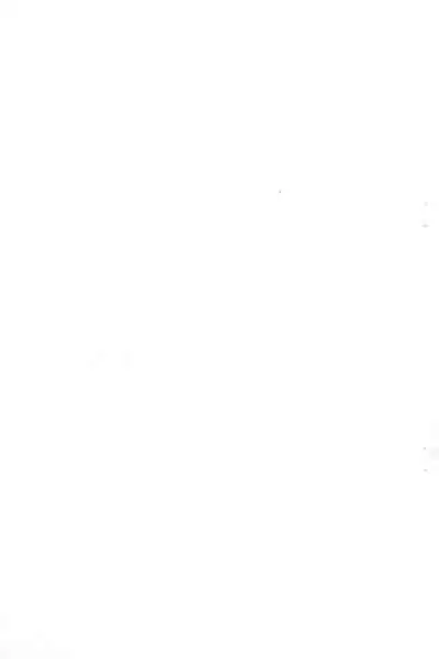 (C87) [Scramble Yourouin (Haniwa Hao)] Ie tsugui Yo tsugu Kizuna tsugu (Sengoku Collection)