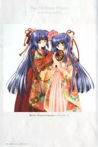 [CARNELIAN] Kao no Nai Tsuki Visual Fanbook (Kao no Nai Tsuki / Moonlight Lady)