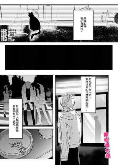 bake neko to mibōjin|猫与未亡人