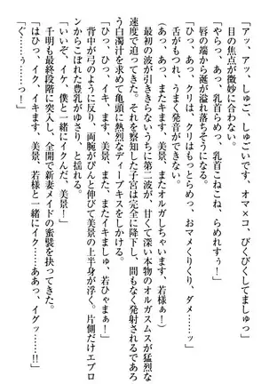 年上メイドの新婚日記