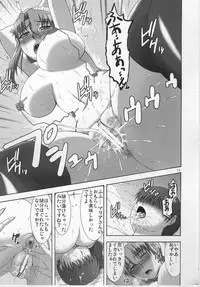 (C77) [complete box (Ayakawa Hisashi)] Maria-san ni wa Mukanai Shokugyou (Hayate no Gotoku!)