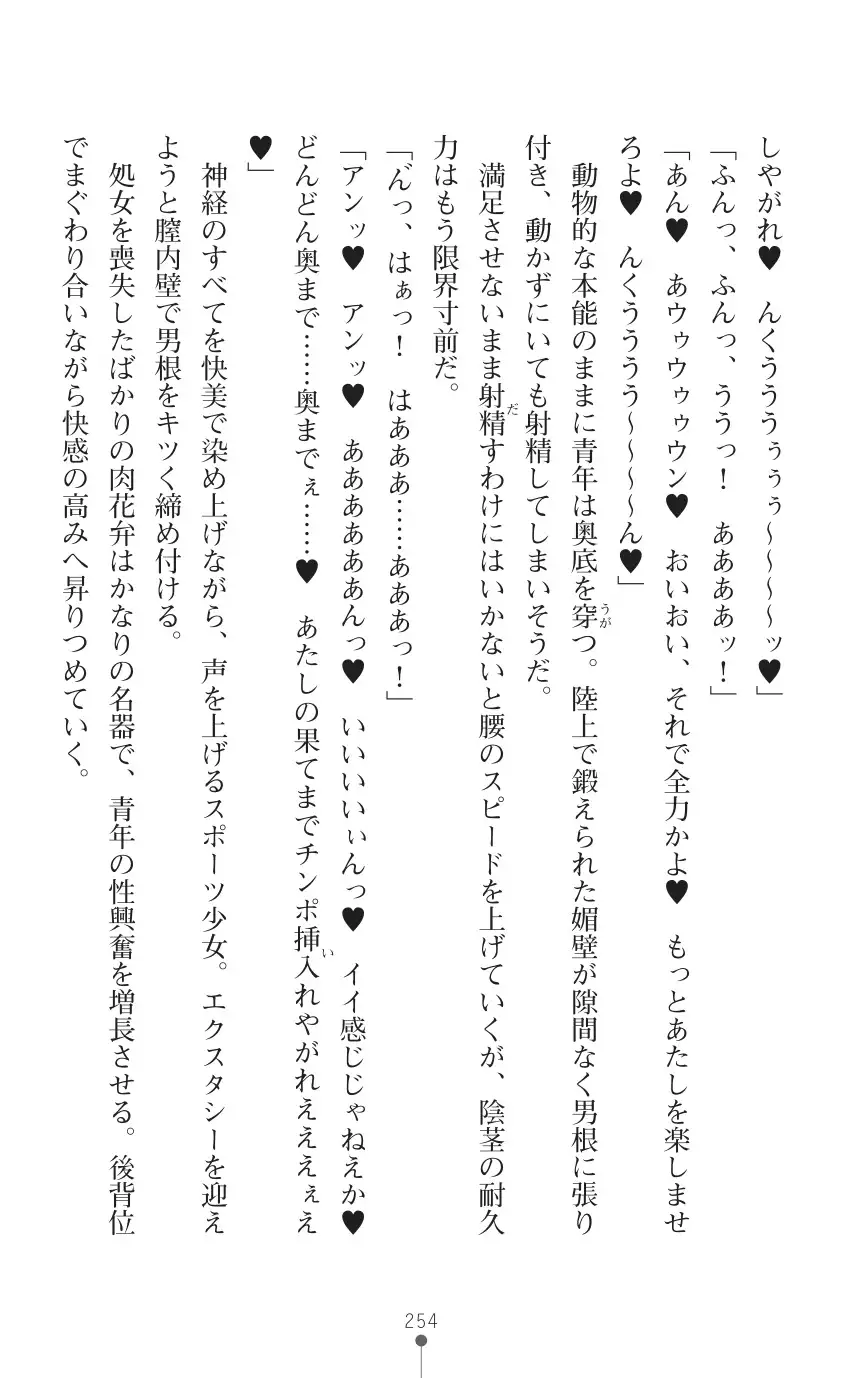 tenkoseiki Vermillion 2