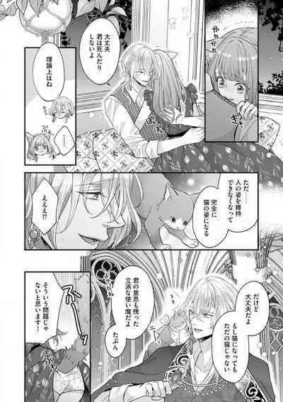 Nene to Ikoku no Mahoutsukai Isekai ni Shoukan Sareta to Omottara, Naze ka Koneko to shite Aigan Saretemasu 1-5