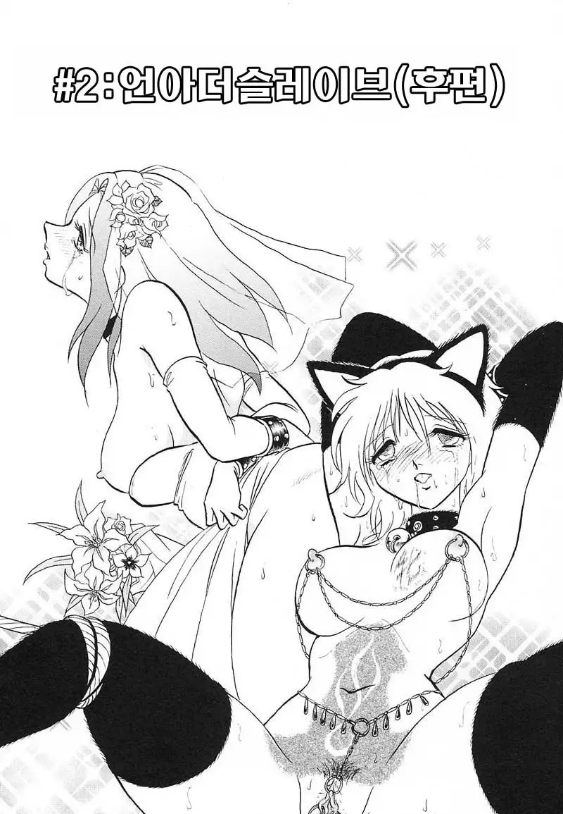 Abunai Kagai Jugyou | 위험한 과외 수업