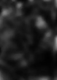 [Dende] Fushigi Sekai -Mystery World- Nonona 23 ~Shikkoku no Mayouhei to no Tatakai, Sara naru Shishi Shoumetsu Jigokukan no Inkyoubu~ [Digital]