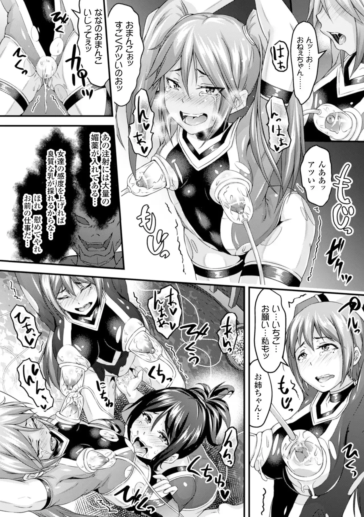Seigi no Heroine Kachiku Bokujou Vol. 2