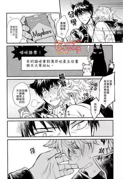 (HaruCC19) [3745HOUSE (MIkami Takeru)] Like cat and dog (Gintama) [Chinese] [糖分漢化組]